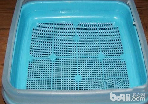 影響<a href=/zhonglei/mao/ target=_blank class=infotextkey>貓</a>咪上廁所的因素有哪些