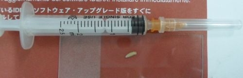 一例幼犬嚴重絳蟲感染的病例分析