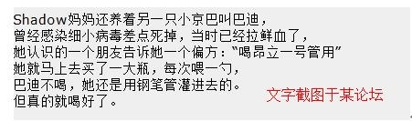 關于細小病毒的偏方和想法