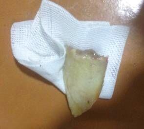薩摩犬的口腔異物處置辦法
