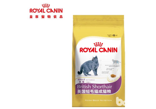 英短貓糧喂食時要注意什么？