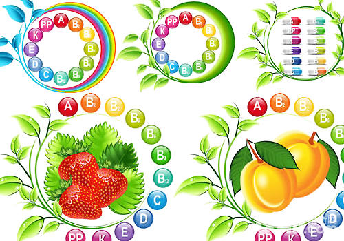 維生素過量對<a href=/zhonglei/gou/ target=_blank class=infotextkey>狗</a>狗有何危害