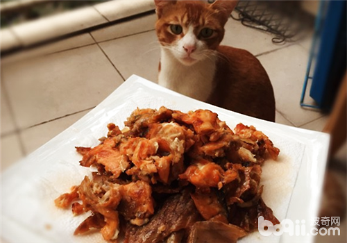 【美食攻略】自制貓咪零食之香烤三文魚皮
