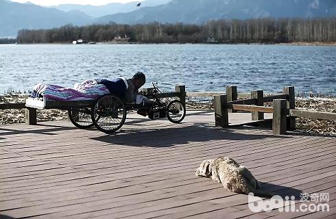 狗狗到底有多忠誠？