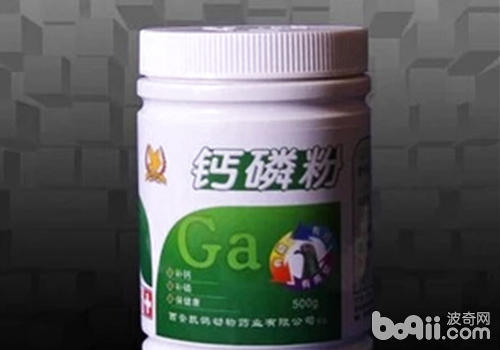 如何預防狗狗關節病