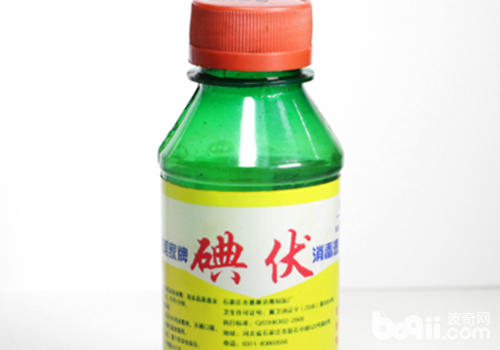 狗狗常用實用藥有哪些