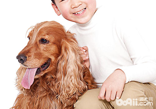 怎樣改善<a href=/zhonglei/gou/ target=_blank class=infotextkey>狗</a>狗分離焦慮癥的問題