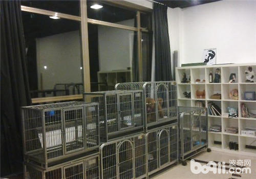 <a href=/zhonglei/mao/ target=_blank class=infotextkey>貓</a>咪寄養多少錢一天？
