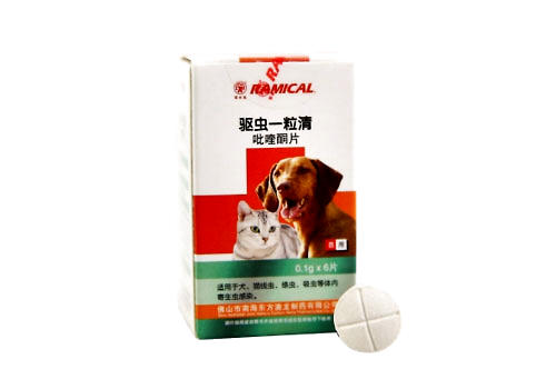 貓咪驅蟲要定時定量嗎？