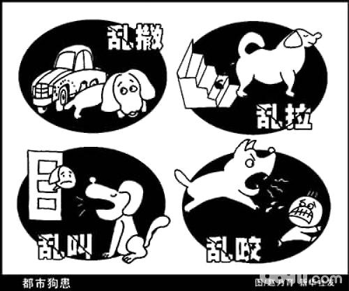細數那些不文明養狗行為