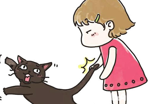 與貓咪相處的錯誤行為