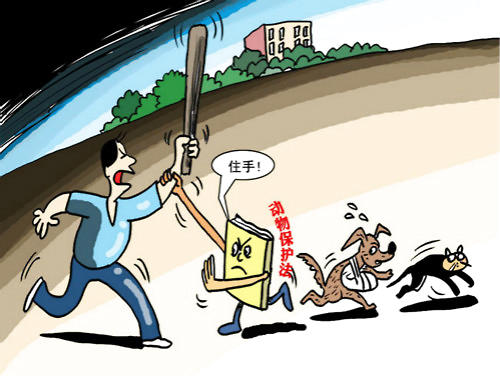 為什么有人會喜愛虐貓