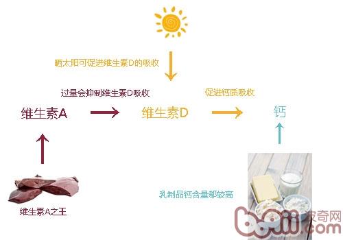 狗狗缺鈣了怎么辦