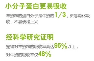 不要給幼貓喂牛奶的原因可不止一個