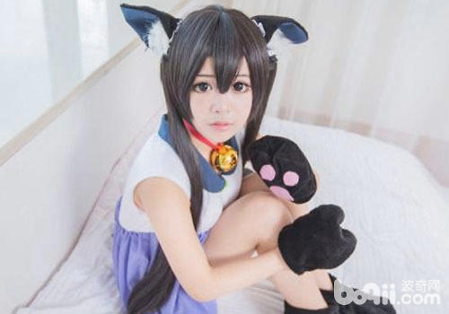 貓咪偏愛女性？