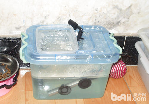 【DIY】貓咪自動飲水器制作
