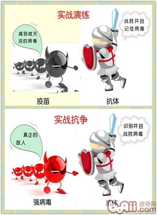 免疫—為犬貓健康保駕護航