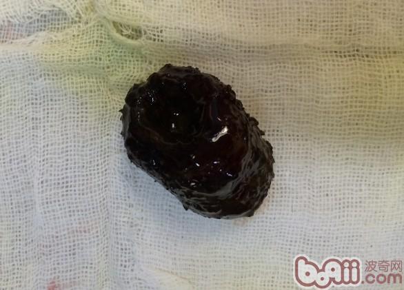 犬異物性腸道阻塞的治療