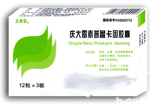 如何準備好狗狗的小藥箱
