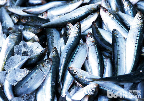 【美食攻略】自制貓咪的雞肉海魚飯