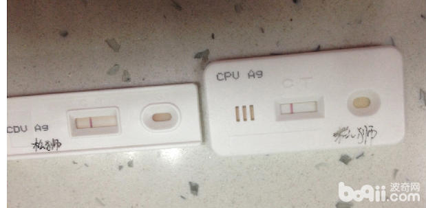 一例松獅串犬的口炎病例分析
