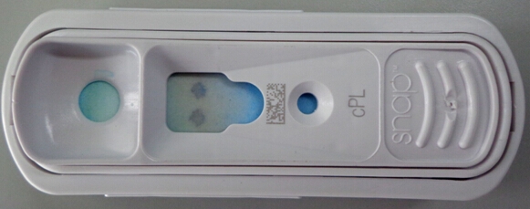 靈緹胰腺炎的診療體會
