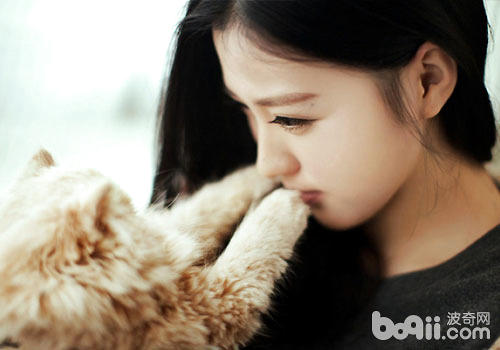 <a href=/zhonglei/mao/ target=_blank class=infotextkey>貓</a>咪偏愛女性？