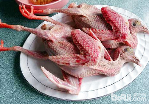 【美食攻略】自制貓咪的鴿子牛肉南瓜飯