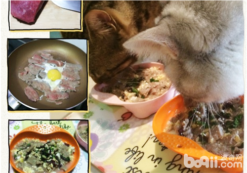 【美食攻略】自制貓咪牛肉雞蛋飯
