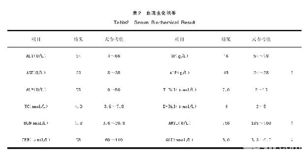 薩摩耶胃內異物的診斷與治療