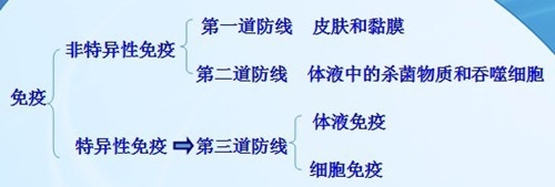 免疫—為犬貓健康保駕護航