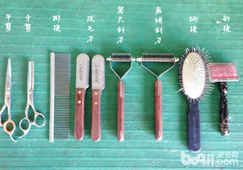 常備的美容工具有哪些
