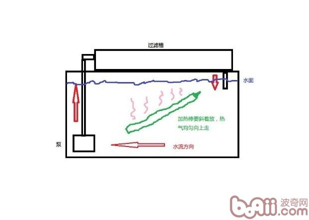 水族箱使用加熱棒的注意事項