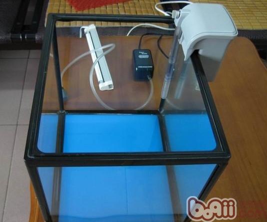 如何選購合適的<a href=/zhonglei/fish/ target=_blank class=infotextkey>魚</a>缸氣泵和氣泵的使用方法和經驗