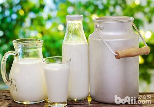通過食物給貓咪補充維生素A