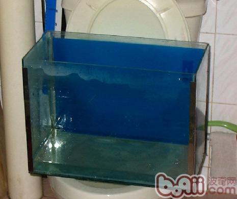 新手養<a href=/zhonglei/fish/ target=_blank class=infotextkey>魚</a>要知道的水知識