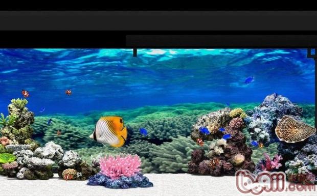 水族箱景觀如何設置