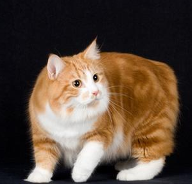 undefined{{pos:,w:,h:}}