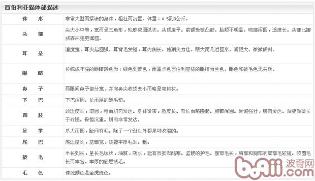 關于西伯利亞貓的介紹