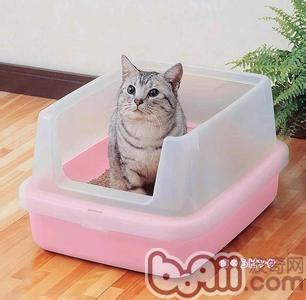 常見的<a href=/zhonglei/mao/ target=_blank class=infotextkey>貓</a>砂盆種類解析