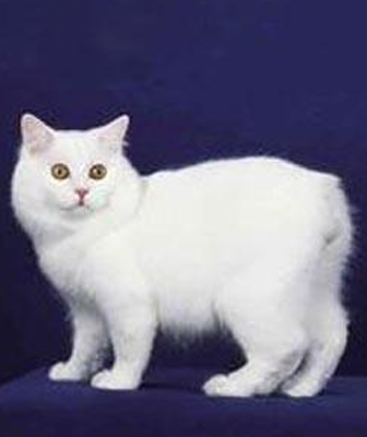 undefined{{pos:,w:,h:}}