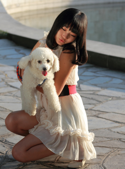 ★★▊貨到付款▊★★ 精品比熊犬 全場1500 買一送一
