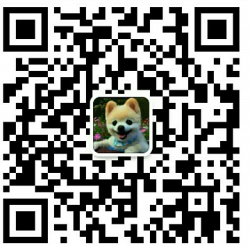 ★★▊貨到付款▊★★ 精品巴哥犬 全場1500 買一送一