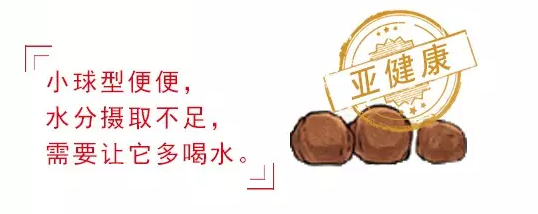 幼犬狗糧什么牌子好？如何從粑粑分辨幼犬健康狀況