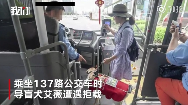 導盲犬：其實我也想做一只被人類寵愛的<a href=/zhonglei/gou/ target=_blank class=infotextkey>狗</a>狗 但是我有更偉大的使命