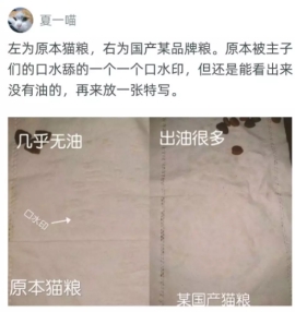 來自數千貓主子的試吃反饋報告 “原本”貓糧火了