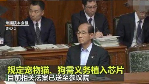 日本規定寵物需植入芯片 以防主人遺棄虐待 對此你是怎么看的？