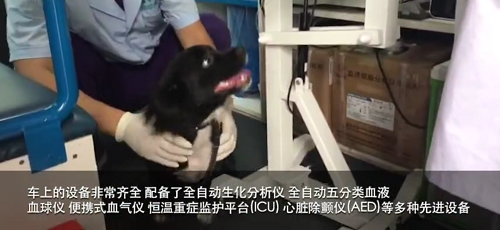 寵物救護車 只有你想不到沒有他們做不到