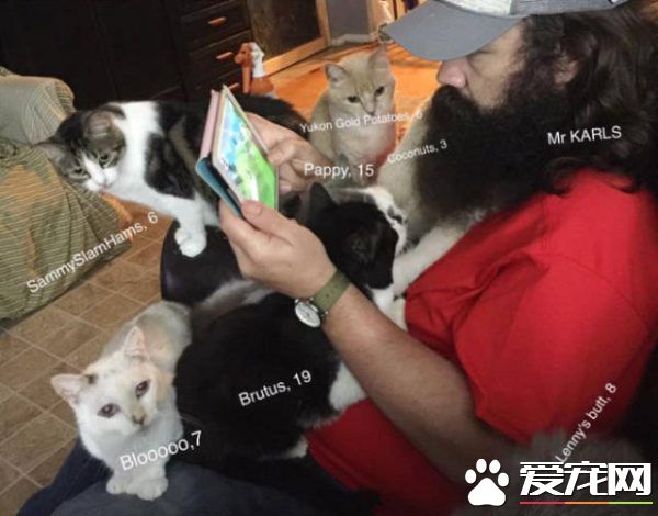 愛貓男子創辦貓咪收容之家 讓老貓們有一個溫暖的家