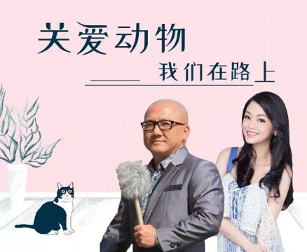 QQ截圖20190606173216.jpg